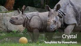  Presentation with newborn difference - Beautiful PPT layouts featuring newborn indian rhinoceros rhinoceros unicornis backdrop and a tawny brown colored foreground