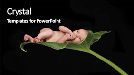  Presentation with sleeping baby - Beautiful PPT theme featuring newborn infant baby sleeping backdrop and a black colored foreground