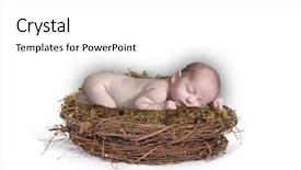  Presentation with lungs and kidney newborn - Cool new PPT theme with newborn infant in bird nest backdrop and a white colored foreground