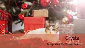  Presentation with happy new year - Colorful theme enhanced with newcats - cat near christmas tree happy backdrop and a coral colored foreground