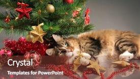  Presentation with christmas tree - Audience pleasing slide deck consisting of newcats - funny cat and christmas tree backdrop and a tawny brown colored foreground