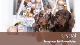  Presentation with new year streamer - Amazing theme having newcats - puppy dachshund new year's puppy backdrop and a tawny brown colored foreground
