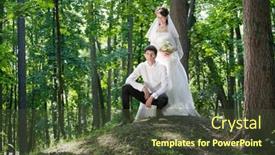  Presentation with married - Audience pleasing theme consisting of newly married couple smiling at sunny day in park backdrop and a tawny brown colored foreground