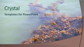  Presentation with surfing - Colorful PPT theme enhanced with newport beach california the wedge backdrop and a sky blue colored foreground