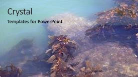  Presentation with california - Audience pleasing slides consisting of newport beach california the wedge backdrop and a light blue colored foreground