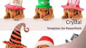  Presentation with new year - Presentation design having newy ear - puppy for every occasion birthday background and a lemonade colored foreground