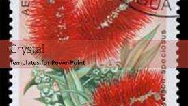  Presentation with stamp - 