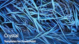  Presentation with frozen mixed berries as - Presentation design consisting of nice abstract background with frozen background and a ocean colored foreground