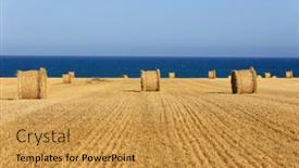  Presentation with hay field - Presentation theme enhanced with nice-agricultural-field-with-hay background and a yellow colored foreground
