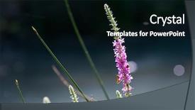  Presentation with nice aestethic - PPT theme consisting of nice autumn landscape on river background and a black colored foreground