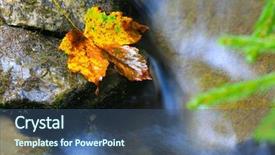  Presentation with mountain stream - Slides featuring nice autumn leaf in wet background and a ocean colored foreground