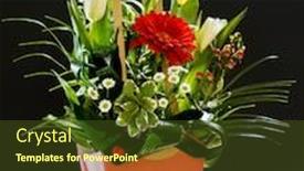  Presentation with black - Colorful PPT layouts enhanced with nice-bouquet-on-the-black backdrop and a tawny brown colored foreground