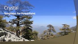  Presentation with cedar - Theme enhanced with nice-cedar-trees-on-mountain background and a teal colored foreground