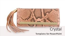  Presentation with bag - PPT theme having nice elegant woman bag isolated background and a  colored foreground