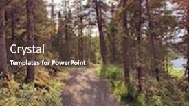  Presentation with walking trail - Cool new slide deck with nice-fall-walking-trail backdrop and a tawny brown colored foreground
