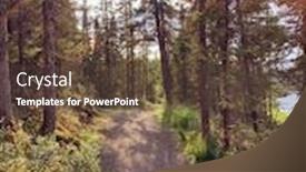  Presentation with walking trail - Audience pleasing theme consisting of nice-fall-walking-trail backdrop and a tawny brown colored foreground