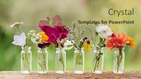  Presentation with fertilizer flowers - PPT layouts featuring nice-flowers-in-the-bottles background and a mint green colored foreground