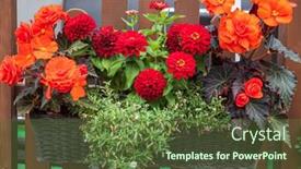  Presentation with container - Colorful PPT theme enhanced with nice-flowers-in-the-container backdrop and a tawny brown colored foreground