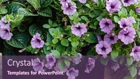  Presentation with container - 