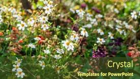  Presentation with container - 