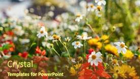  Presentation with container - 