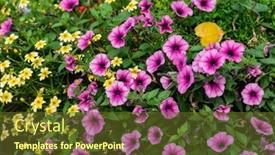  Presentation with container - 