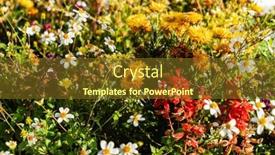  Presentation with container - 