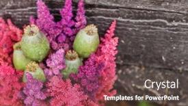  Presentation with flowers - Amazing theme having nice-flowers-on-the-wooden backdrop and a tawny brown colored foreground