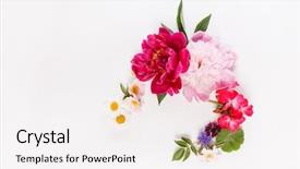  Presentation with purple orchids pink flowers orchid - Audience pleasing presentation design consisting of nice flowers backdrop and a white colored foreground