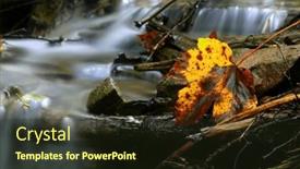  Presentation with alone - Slide deck having nice-landscape-with-alone-autumn background and a wine colored foreground