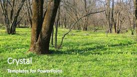  Presentation with meadow - Cool new PPT theme with nice landscape with green meadow backdrop and a tawny brown colored foreground