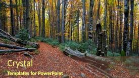  Presentation with pathway - Slide set enhanced with nice-landscape-with-pathway background and a tawny brown colored foreground