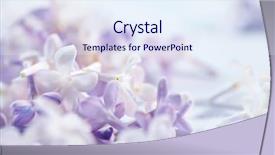  Presentation with wedding - Colorful theme enhanced with nice lilac closeup backdrop and a sky blue colored foreground