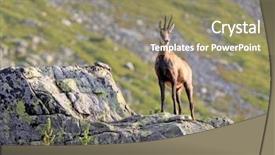  Presentation with climbing to top of mountain - Slides enhanced with nice mountain goat stay background and a coral colored foreground