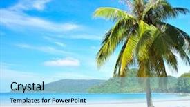  Presentation with oil palm tree - Audience pleasing PPT theme consisting of nice palm tree on white backdrop and a arctic colored foreground