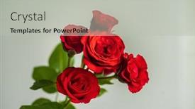  Presentation with 18th birthday rose gold - Slide set featuring nice-rose-in-the-vase background and a light gray colored foreground