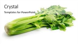  Presentation with celery - Beautiful PPT theme featuring nice shaped fresh celery backdrop and a white colored foreground