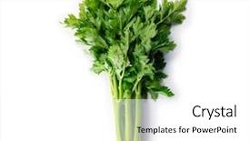  Presentation with celery - Amazing theme having nice shaped fresh celery backdrop and a white colored foreground