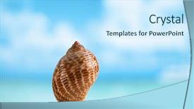  Presentation with florida beach - Beautiful presentation theme featuring nice shell on white florida beach sand under sun light shallow dof backdrop and a sky blue colored foreground