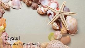 Presentation with shells - Audience pleasing presentation theme consisting of nice shells backdrop and a coral colored foreground