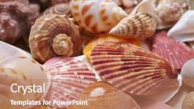  Presentation with shells - Presentation theme with nice shells background and a coral colored foreground