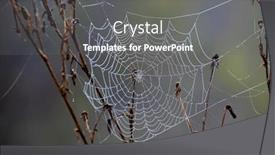  Presentation with spider web - Presentation theme featuring spider web in morning dew background and a gray colored foreground