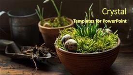  Presentation with moss - Cool new theme with nice-spring-flowers backdrop and a wine colored foreground