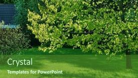  Presentation with plants - Slide deck consisting of nice-spring-garden-with-different background and a tawny brown colored foreground