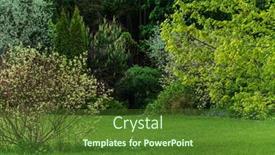  Presentation with plants - Colorful presentation design enhanced with nice-spring-garden-with-different backdrop and a tawny brown colored foreground