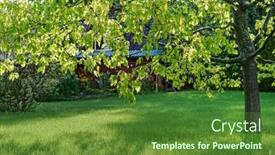  Presentation with plants - Presentation design enhanced with nice-spring-garden-with-different background and a forest green colored foreground