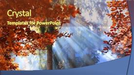  Presentation with foggy forest - Cool new slides with nice sun rays in foggy backdrop and a tawny brown colored foreground