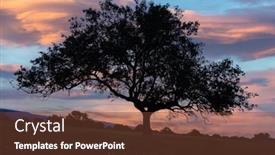  Presentation with tree silhouette - Presentation theme featuring nice-sunset-behind-the-silhouette background and a tawny brown colored foreground