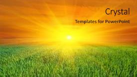  Presentation with colorful green corn field - Beautiful PPT theme featuring nice sunset over green field backdrop and a gold colored foreground