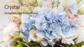  Presentation with wedding - Beautiful PPT theme featuring nice wedding bouquet backdrop and a lemonade colored foreground